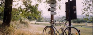 bicycle leaning on signposts outside in a field next to a road